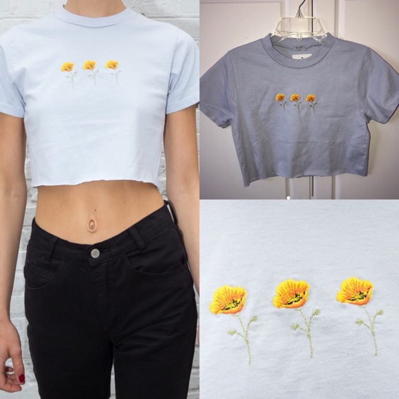 Brandy Melville Tops - Brandy Melville Cropped Poppy Top